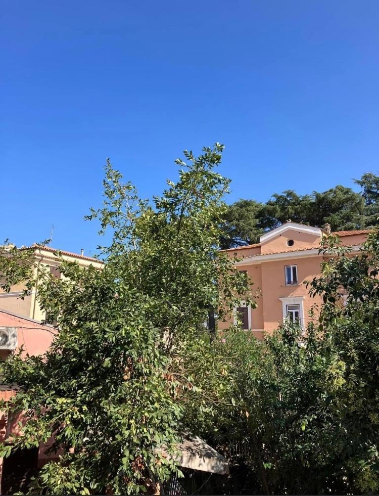 Casa Di Vivi, Comoda Per Il Centro, Il Vaticano Ed Il Gemelli Rome Luaran gambar